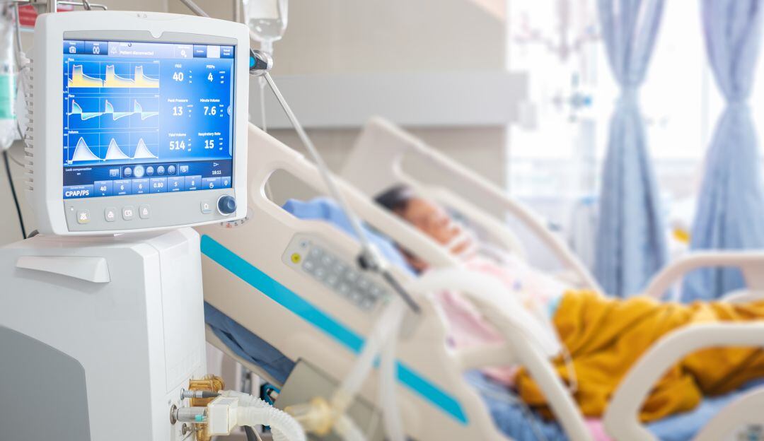 Imagen de referencia