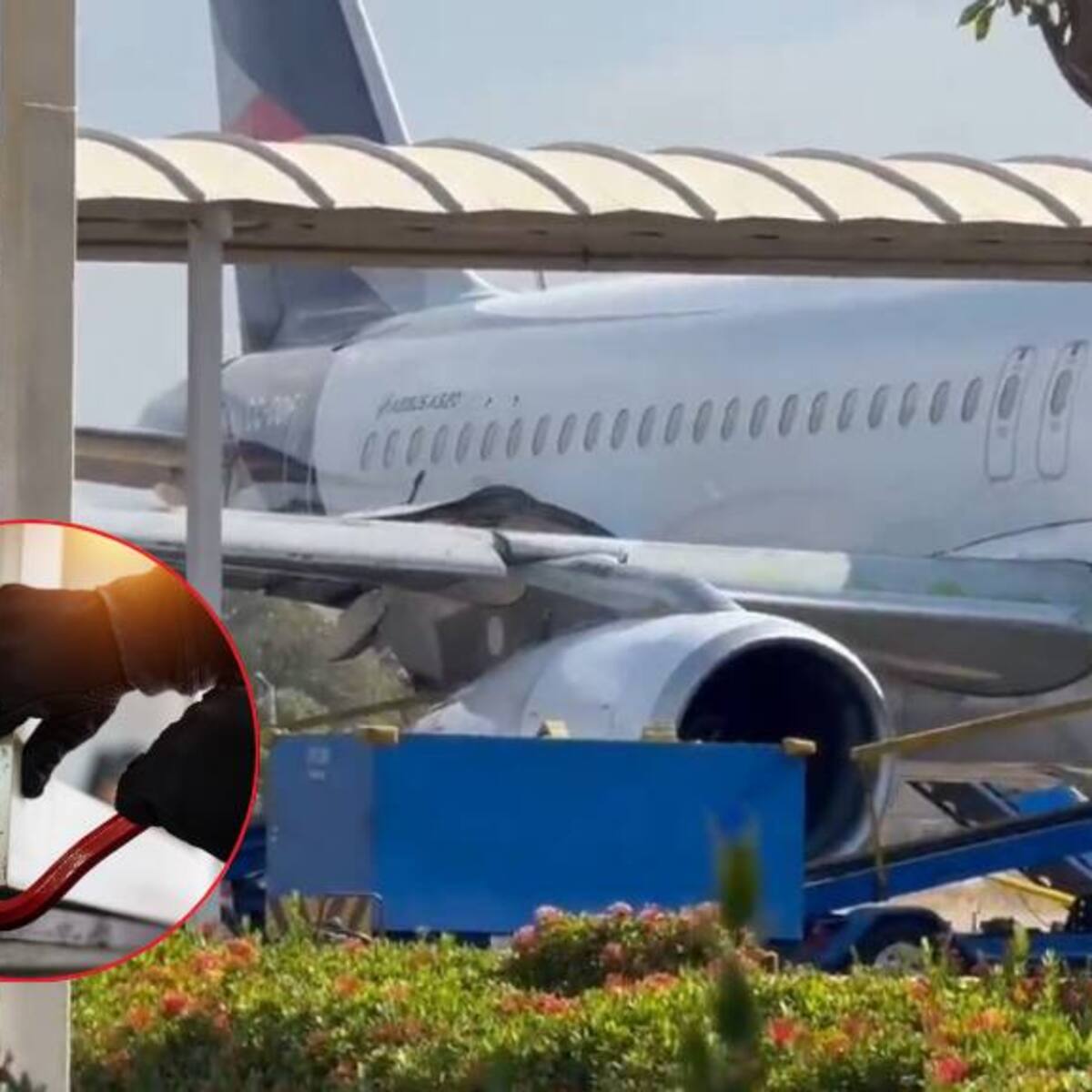 Cae en el Caribe la banda “Los Lobos”, dedicada al robo de bancos y transportadoras de valores