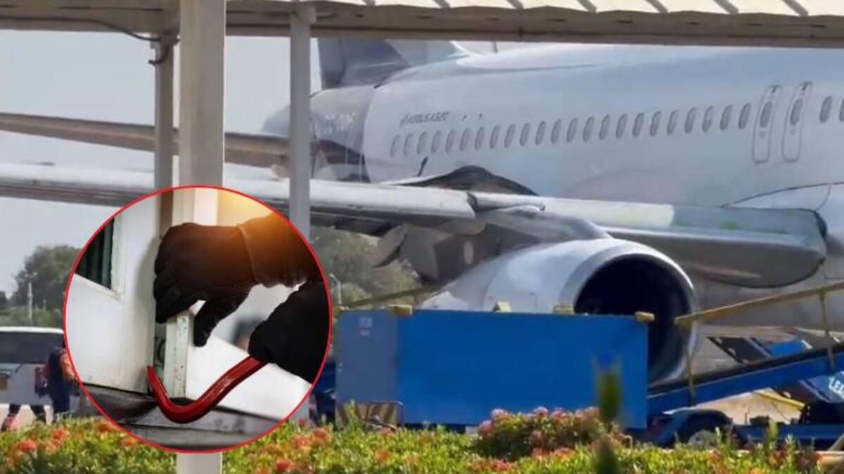 Cae en el Caribe la banda “Los Lobos”, dedicada al robo de bancos y transportadoras de valores