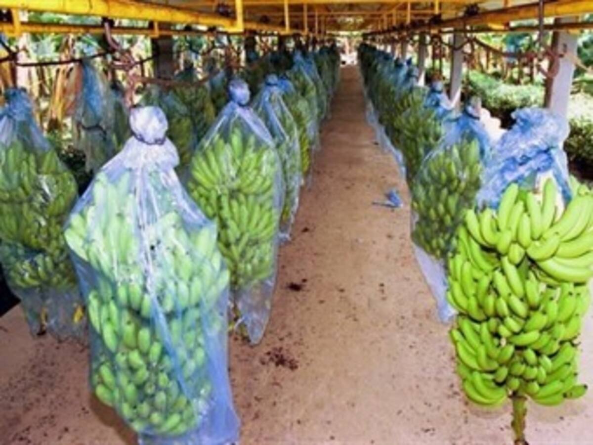 Claman ayuda para damnificados por vendaval en San José de Apartadó