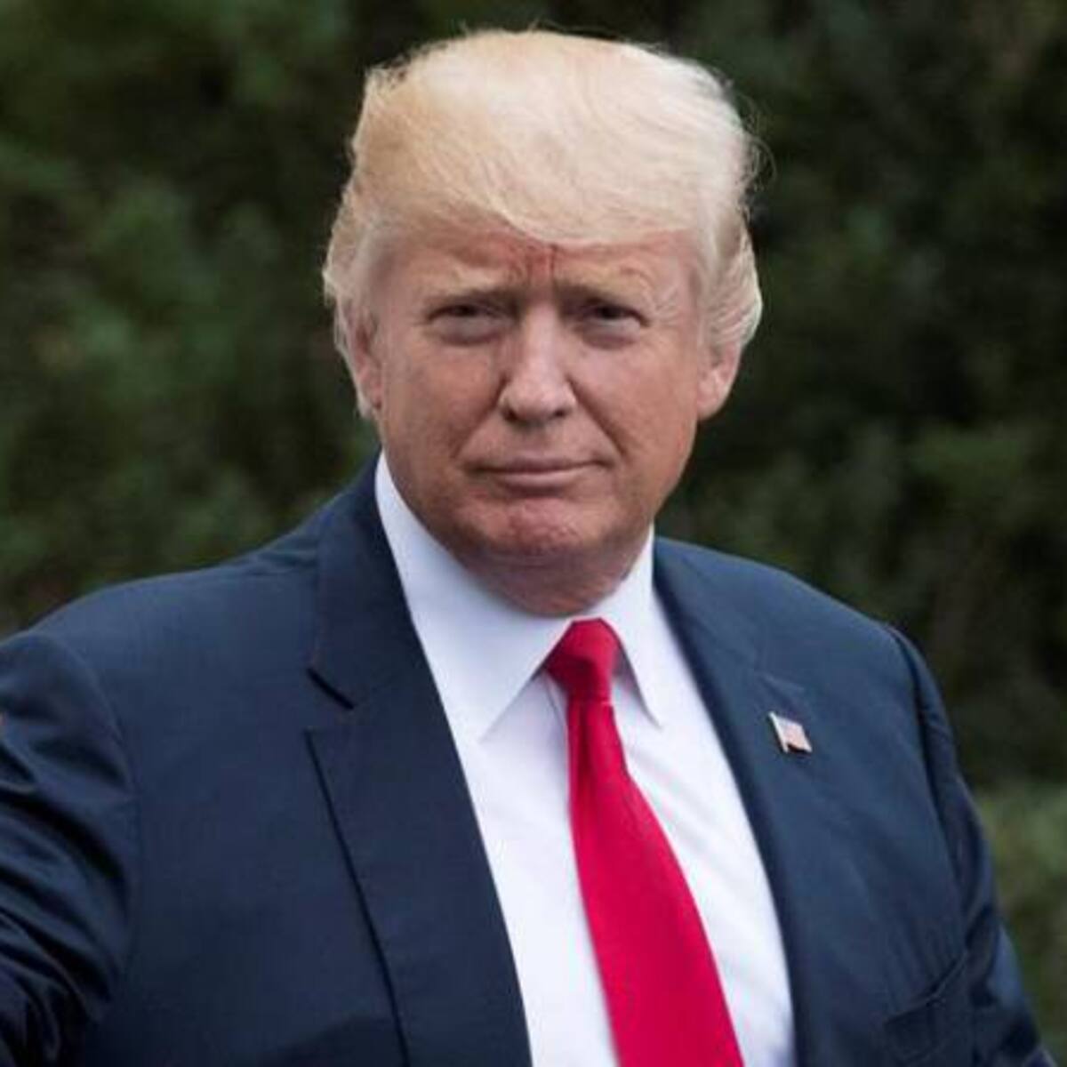 Donald Trump regresa a Twitter tras una encuesta a su favor de Elon Musk