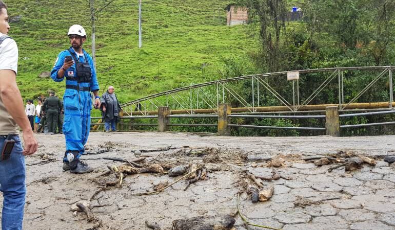 Vereda Gallinazo de Villamaría, Caldas