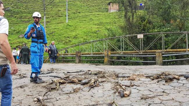 Vereda Gallinazo de Villamaría, Caldas