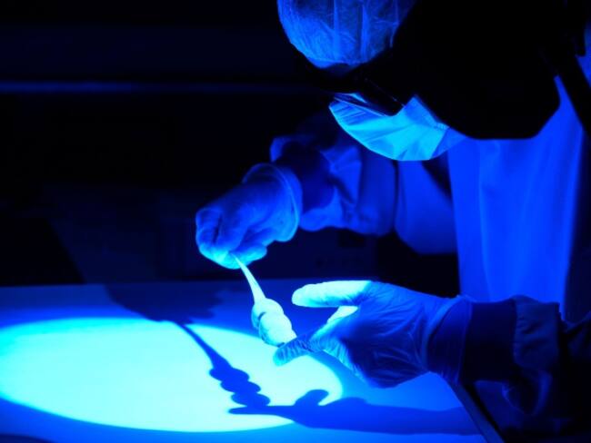 Con Inteligencia Artificial se podrán recrear huellas en escáner biométrico