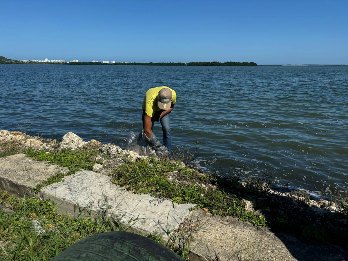 EPA Cartagena lideró jornada ambiental en la Ciénaga de La Virgen