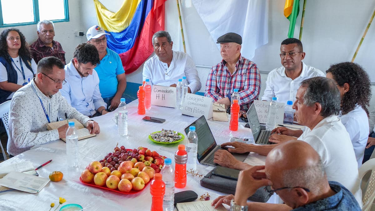 Desescalamiento del conflicto en Nariño, principal compromiso del Frente Comuneros del Sur