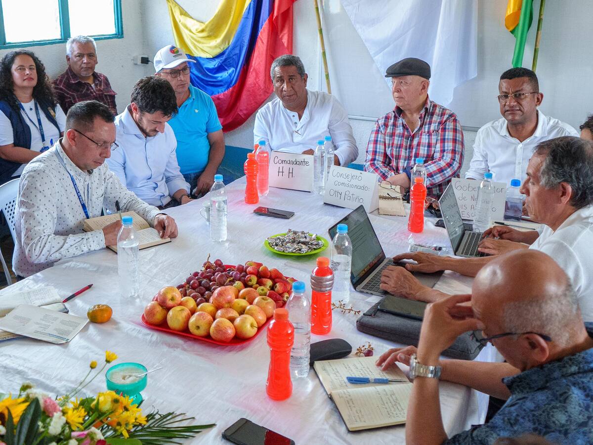 Desescalamiento del conflicto en Nariño, principal compromiso del Frente Comuneros del Sur