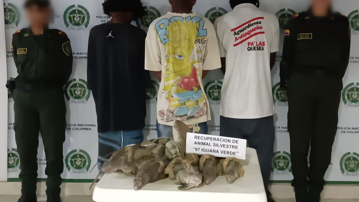 La policía capturó tres jóvenes que tenían en su poder siete iguanas