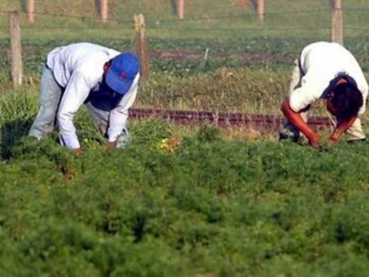 No se puede resolver el problema del Agro solo con subsidios: Clara López