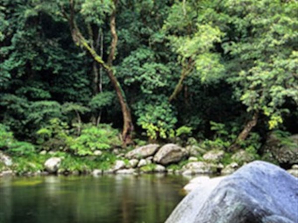 Destacan necesidad de preservar la biodiversidad como lucha contra la pobreza