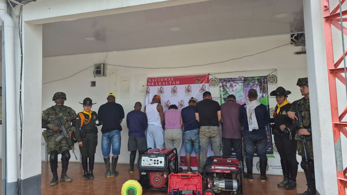 Golpe a la minería ilegal en el sur del Tolima