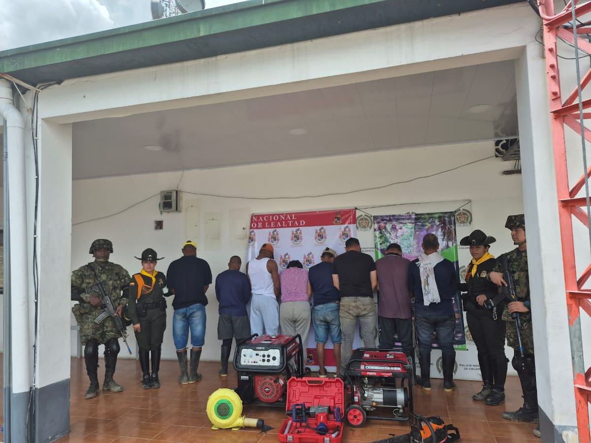 Golpe a la minería ilegal en el sur del Tolima