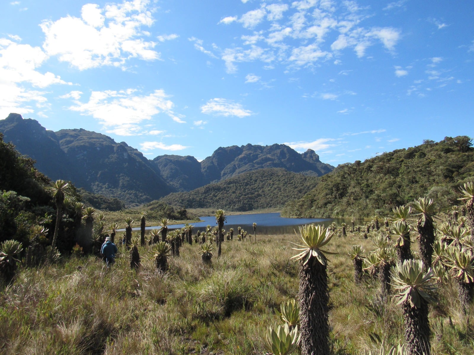 El Parque Natural Regional está ubicado en la población de Roncesvalles, Tolima