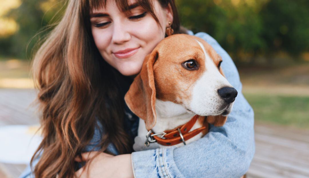 Cámara rechazó proyecto que otorgaría licencia por pérdida de mascotas