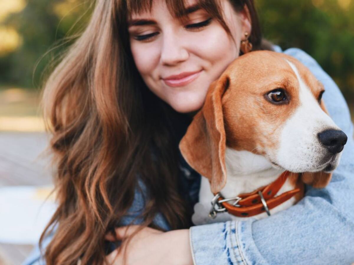 Cámara rechaza proyecto que otorgaría licencia por muerte de mascotas