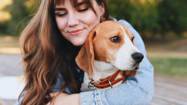 Cámara rechazó proyecto que otorgaría licencia por pérdida de mascotas