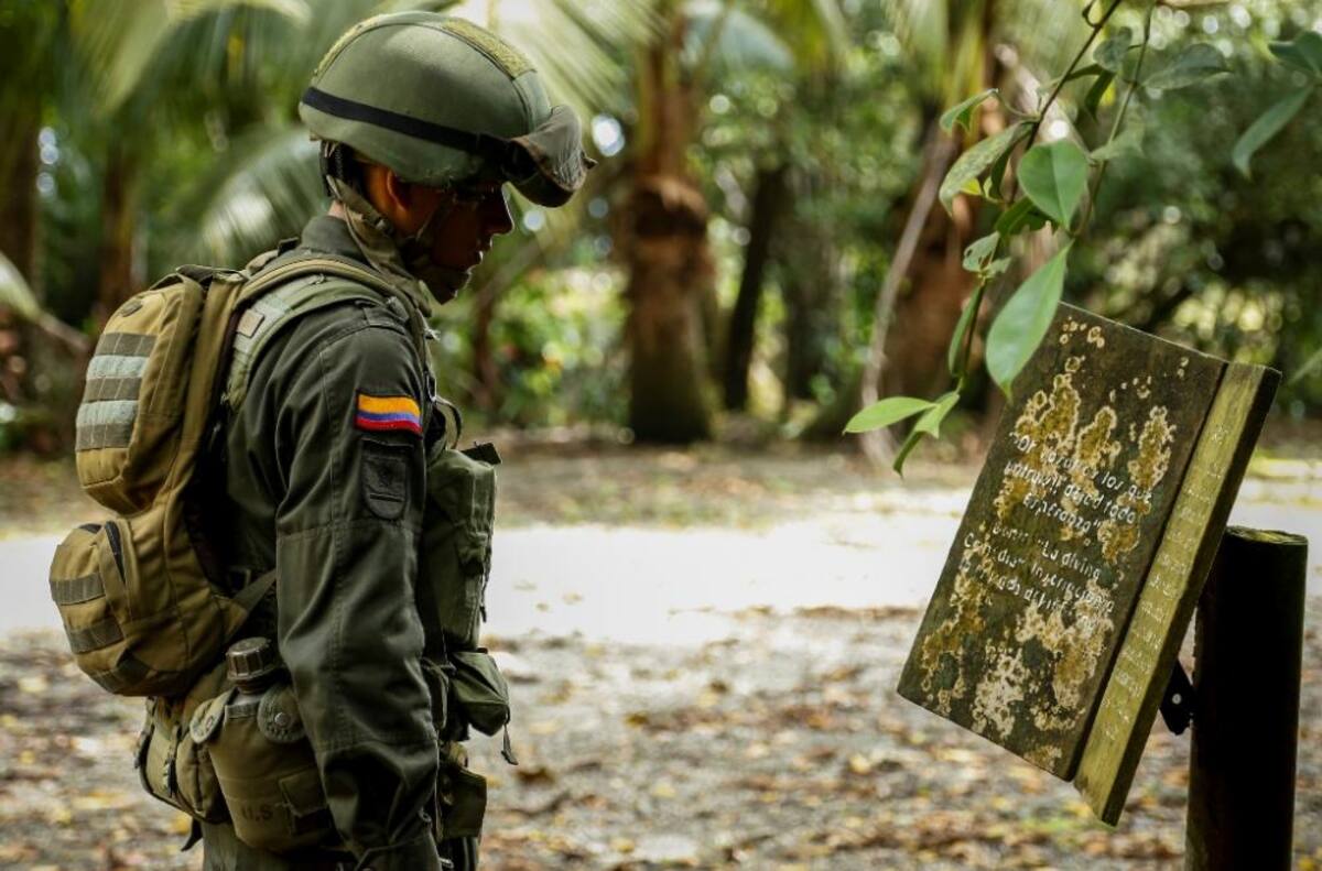 La naturaleza reclama su territorio y se instala en las ruinas de lo que alguna vez fue un temido lugar de reclusión en el Pacífico colombiano.