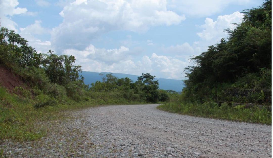 Construcción Variante