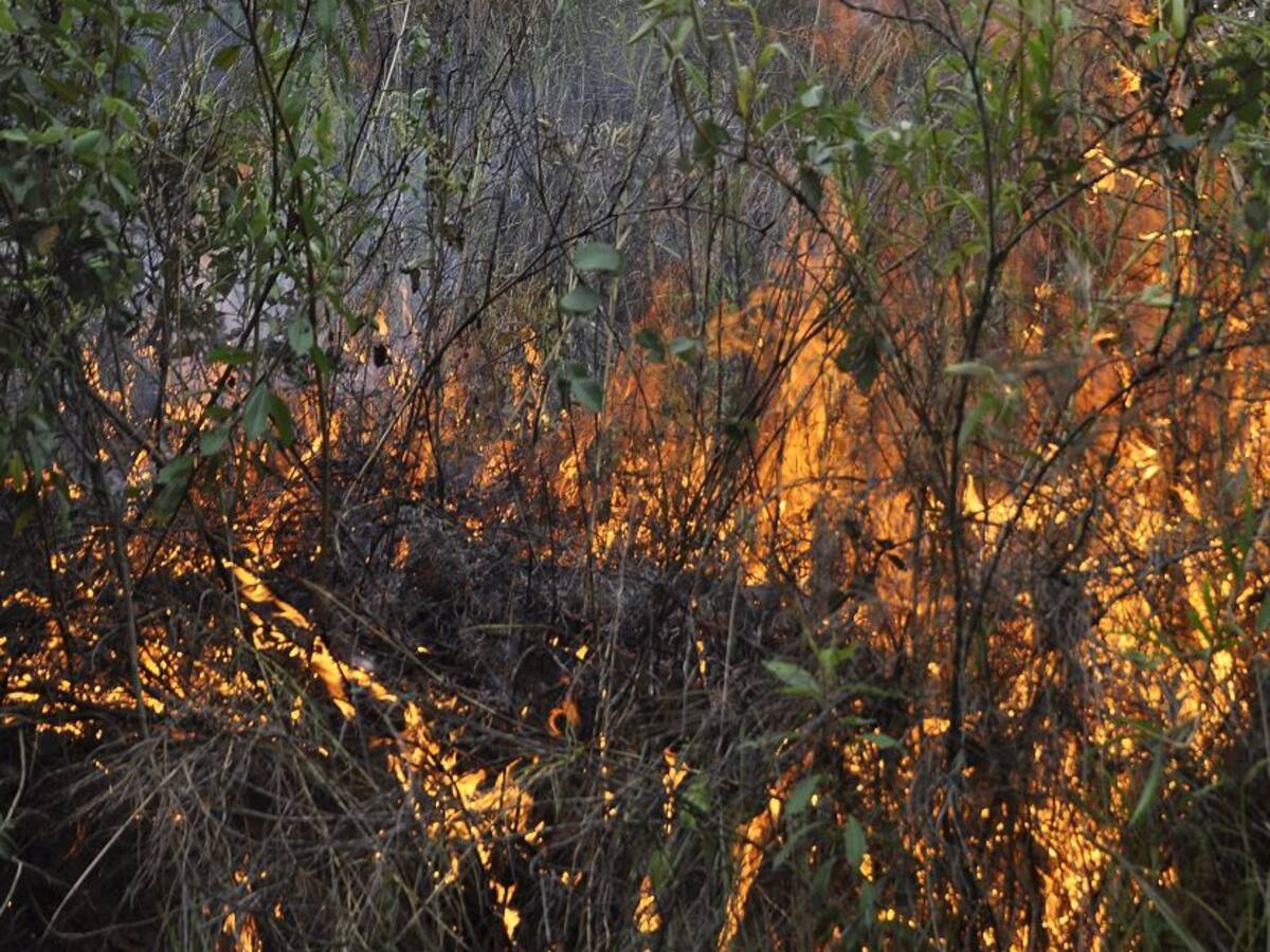 Ya son 26 municipios de Córdoba los que están bajo amenaza de incendios