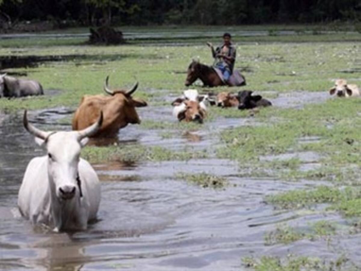 Invierno causa aumento de problemas mentales en Boyacá