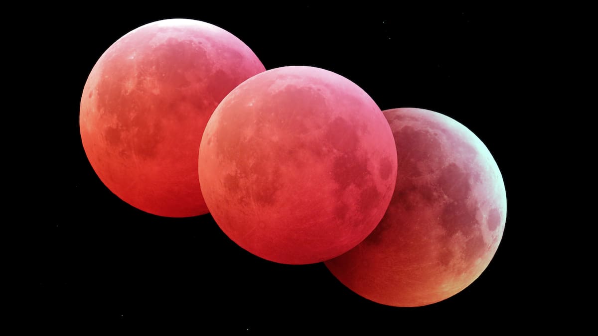 Eclipse Marzo 2025 HOY¿Se verá en Colombia? Le contamos la hora del primer eclipse lunar del año