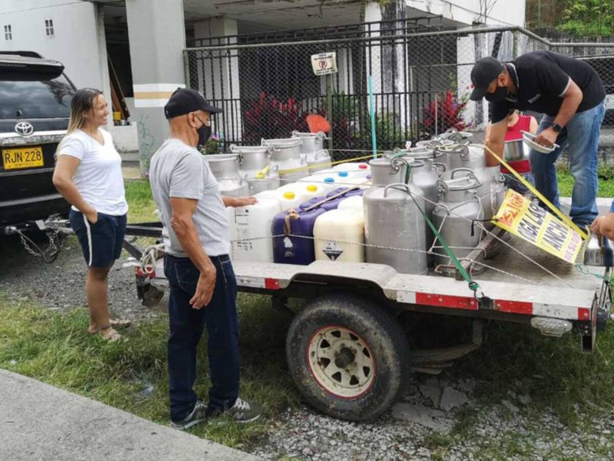 Productor de Risaralda prefiere regalar la leche para no perderla