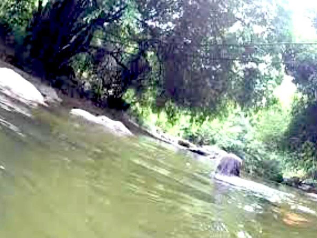 ¿De quién es la minería ilegal en la Sierra Nevada?