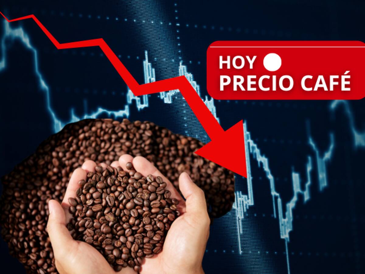 ¡Gran caída! Así inició el mes de agosto el precio del café en Colombia, según FNC