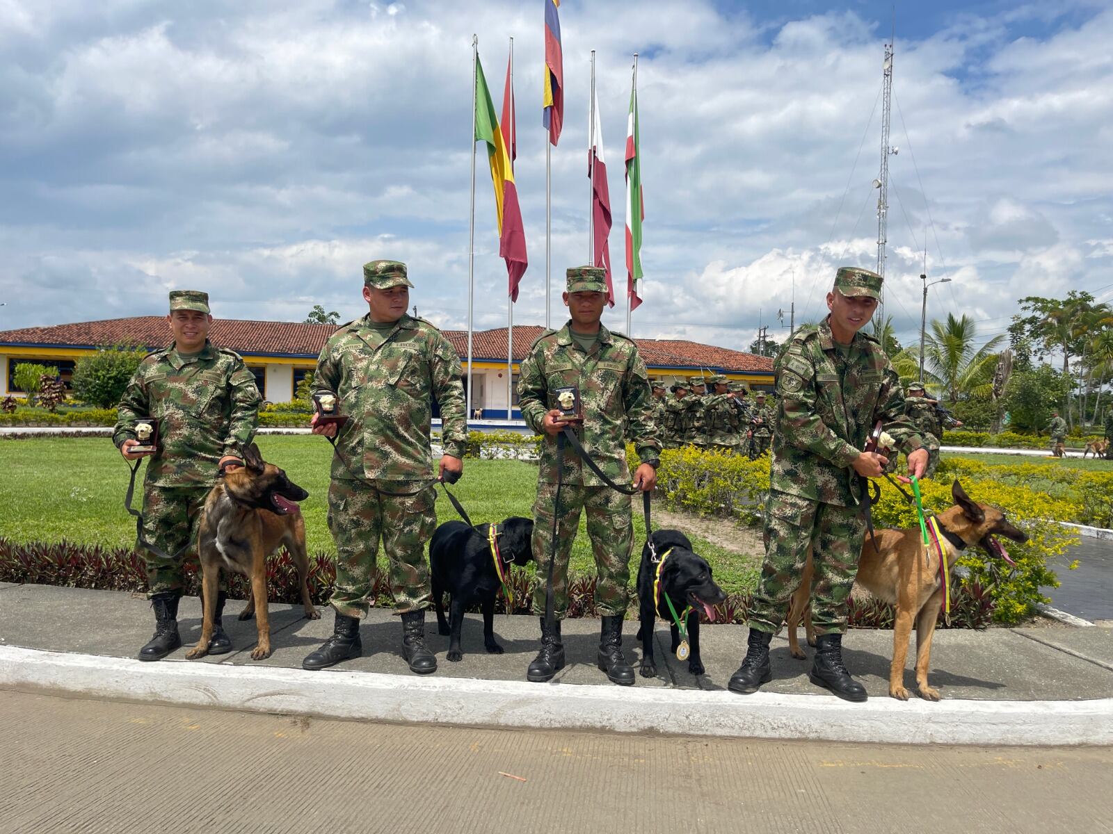 Axxel, Susi, Tasha y Kana, los caninos jubilados en QuindíoFoto: Cortesía Octava Brigada Ejército