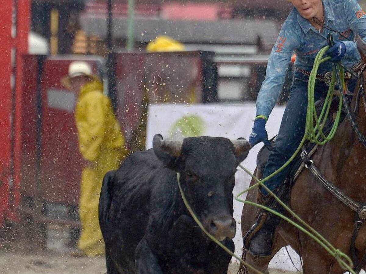 Advierten irregularidad en proyecto infraestructural que generaría daños a animales