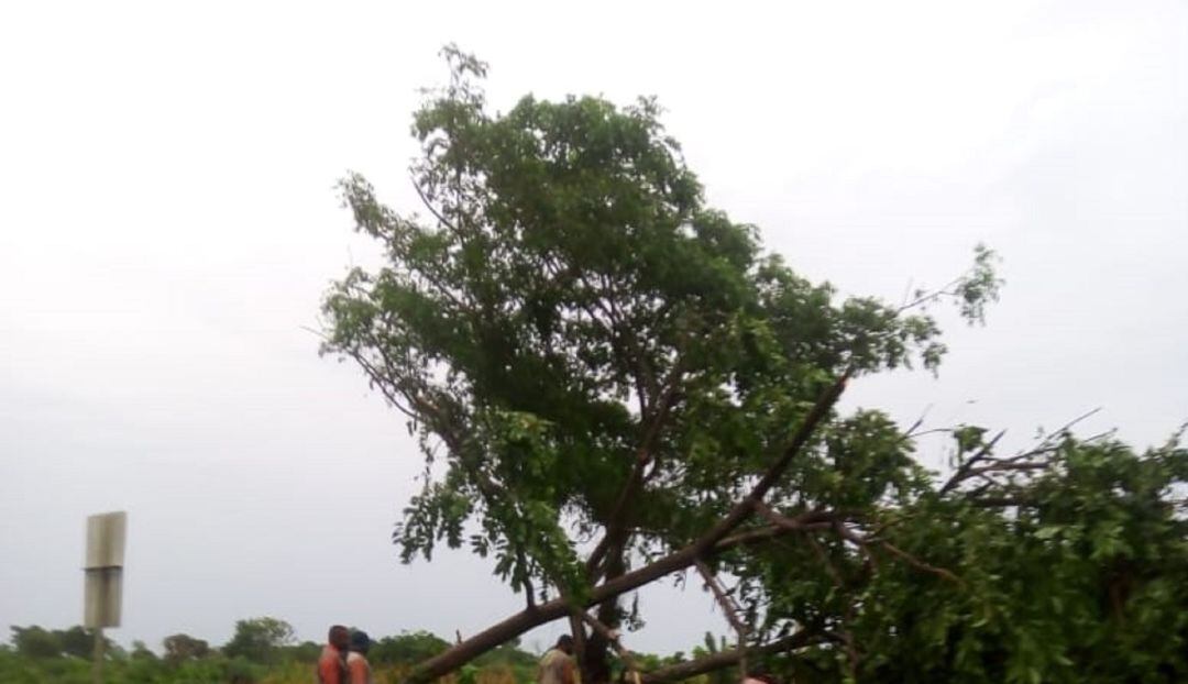 Las lluvias afectan el servicio de energía en 7 municipios de Sucre  