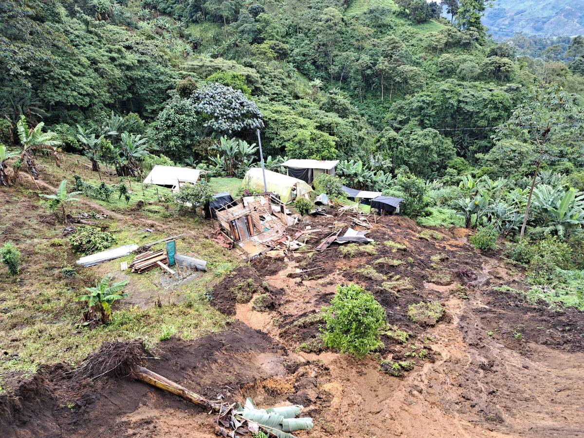 El 50% de los municipios del Quindío en alerta por riesgo de deslizamiento