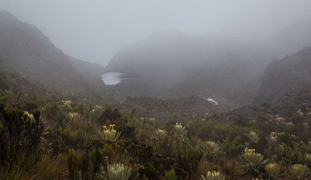 Páramo de Santurbán