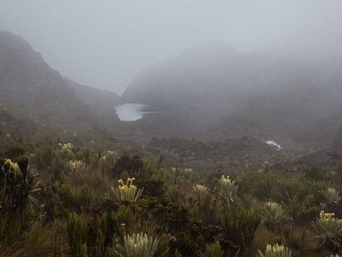 Temporada seca genera alerta por incendio forestal en páramo de Santurbán