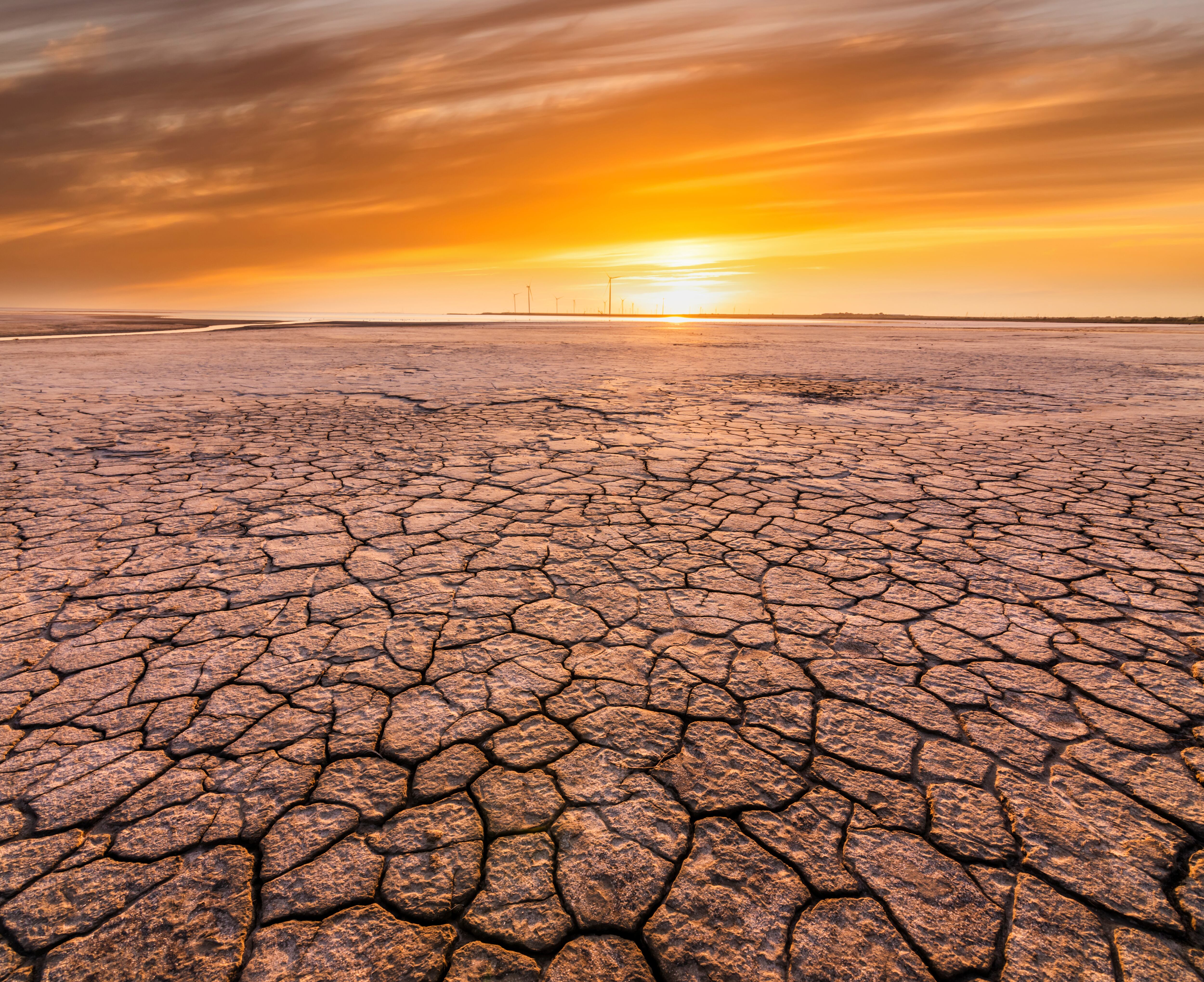 Según la NASA, el calor extremo hará inhabitables algunas regiones del mundo en 2050 / Gettyimages