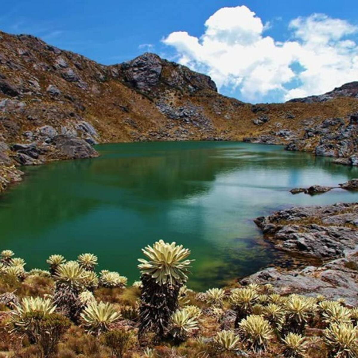 MinAmbiente dejó en firme las áreas de reserva en el páramo de Santurbán