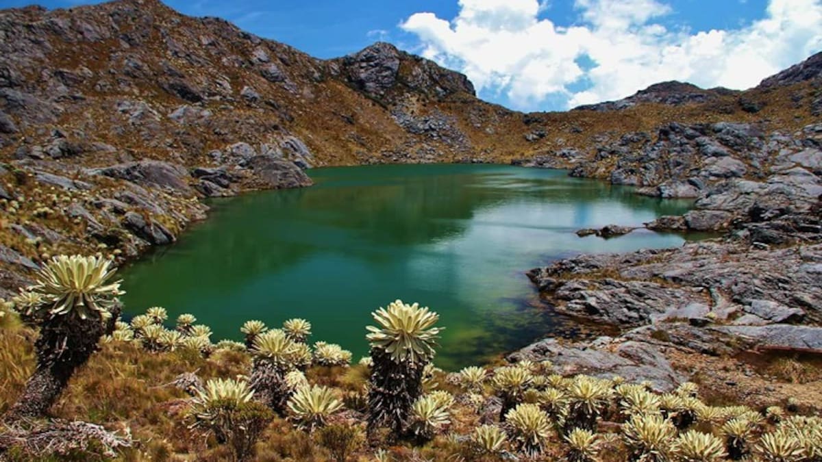 Bucaramanga será sede de la cuarta Cumbre Mundial de Páramos