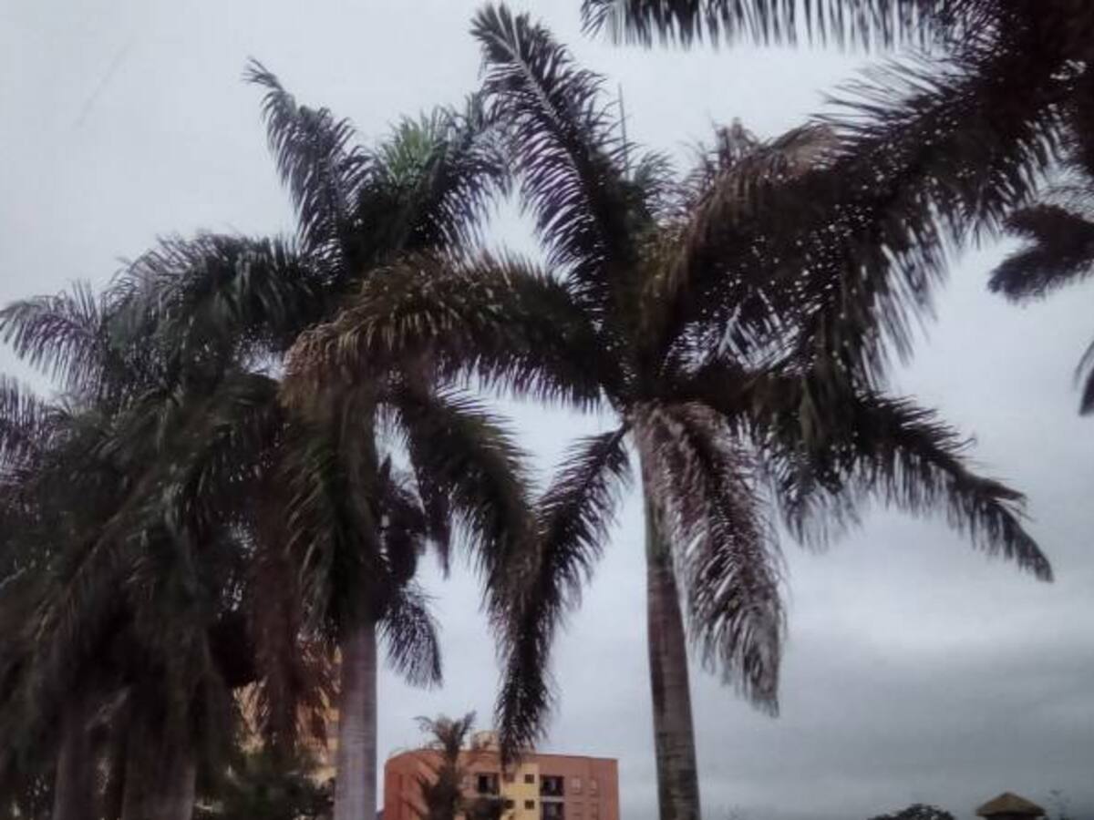 Noticias más importantes de Armenia y el Quindío, lunes 25 de julio