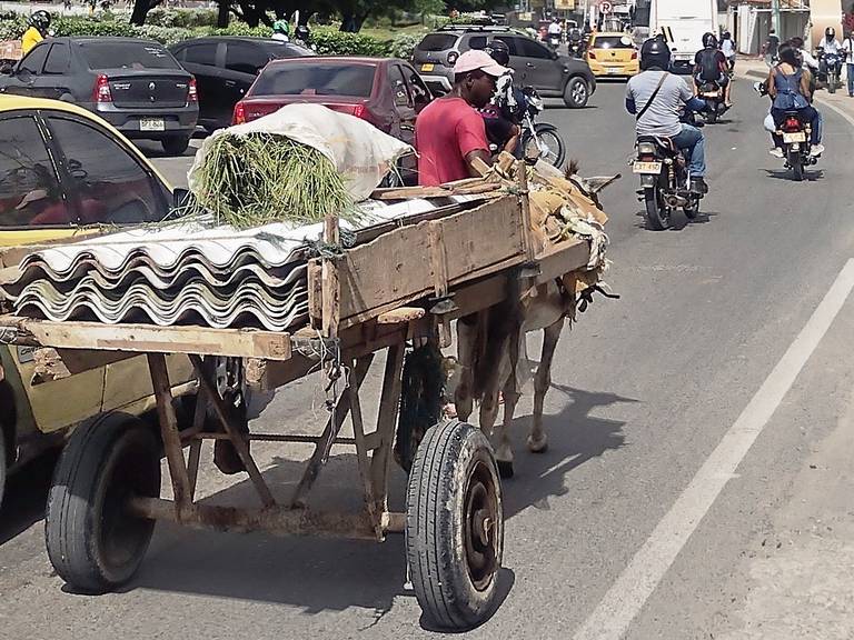ARCHIVO. Vehículos de tracción animal./ Foto: Caracol Radio