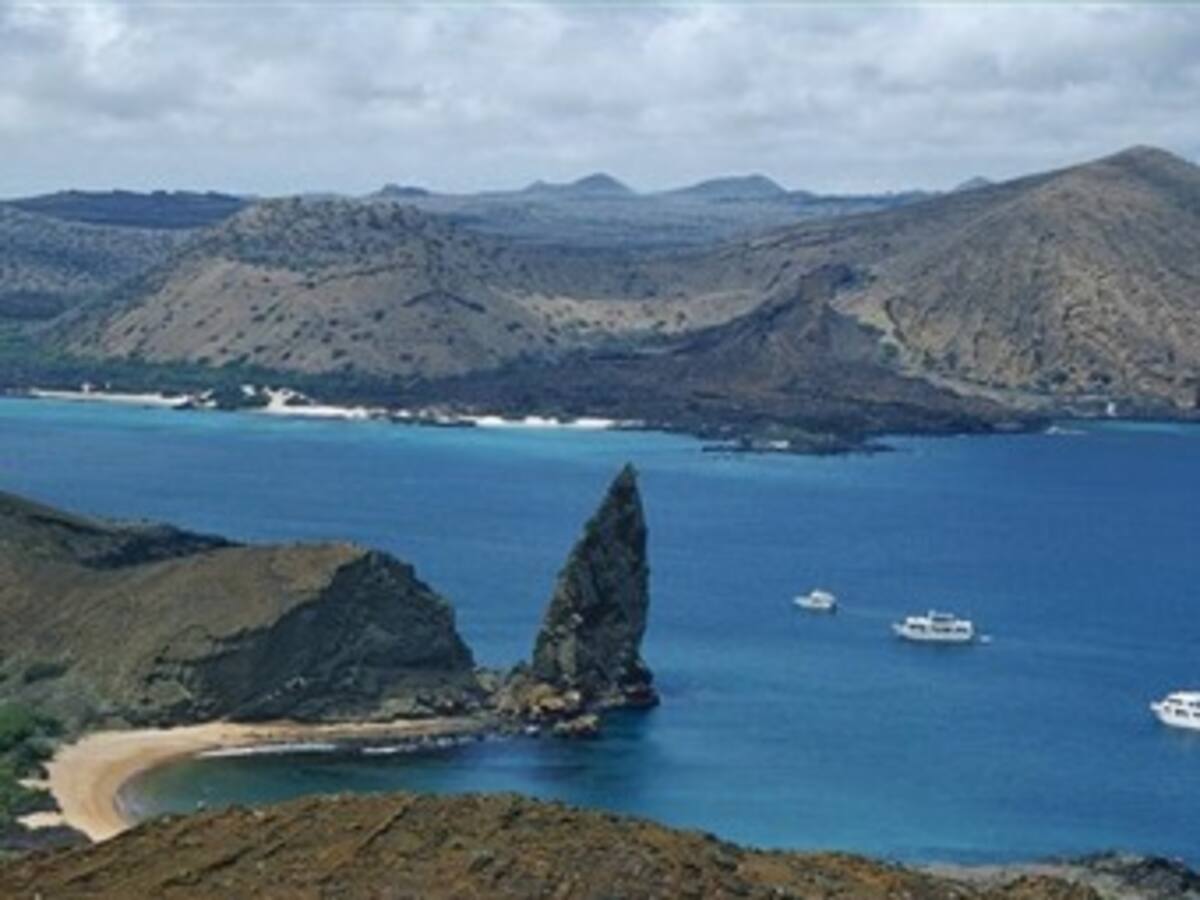 A la caza de las ratas en Galápagos
