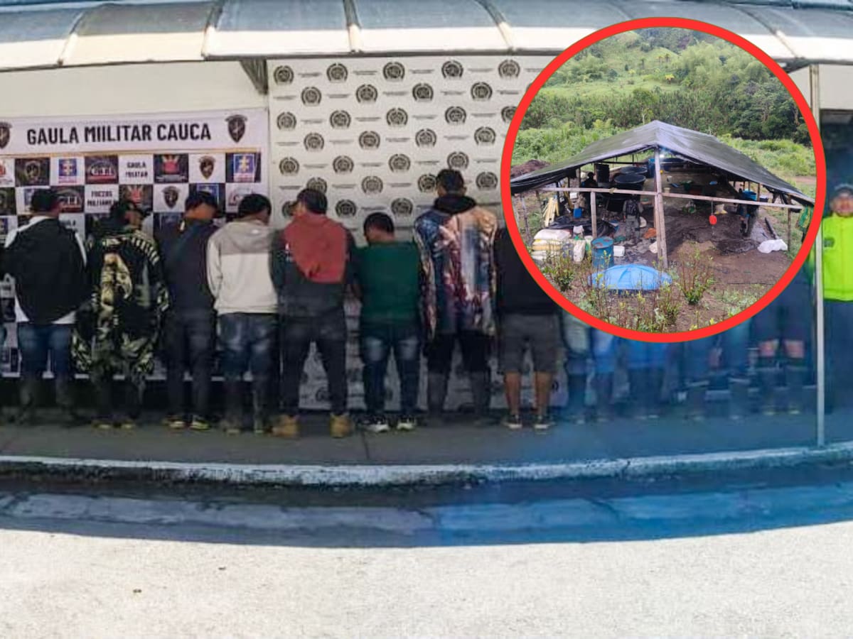15 capturas, cuatro hectáreas de coca ubicadas y dos laboratorios para drogas destruidos en Popayán