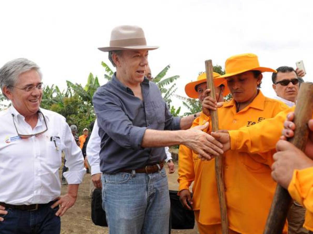 Gobierno anuncia avances en el proceso de sustitución de cultivos ilícitos en el Cauca