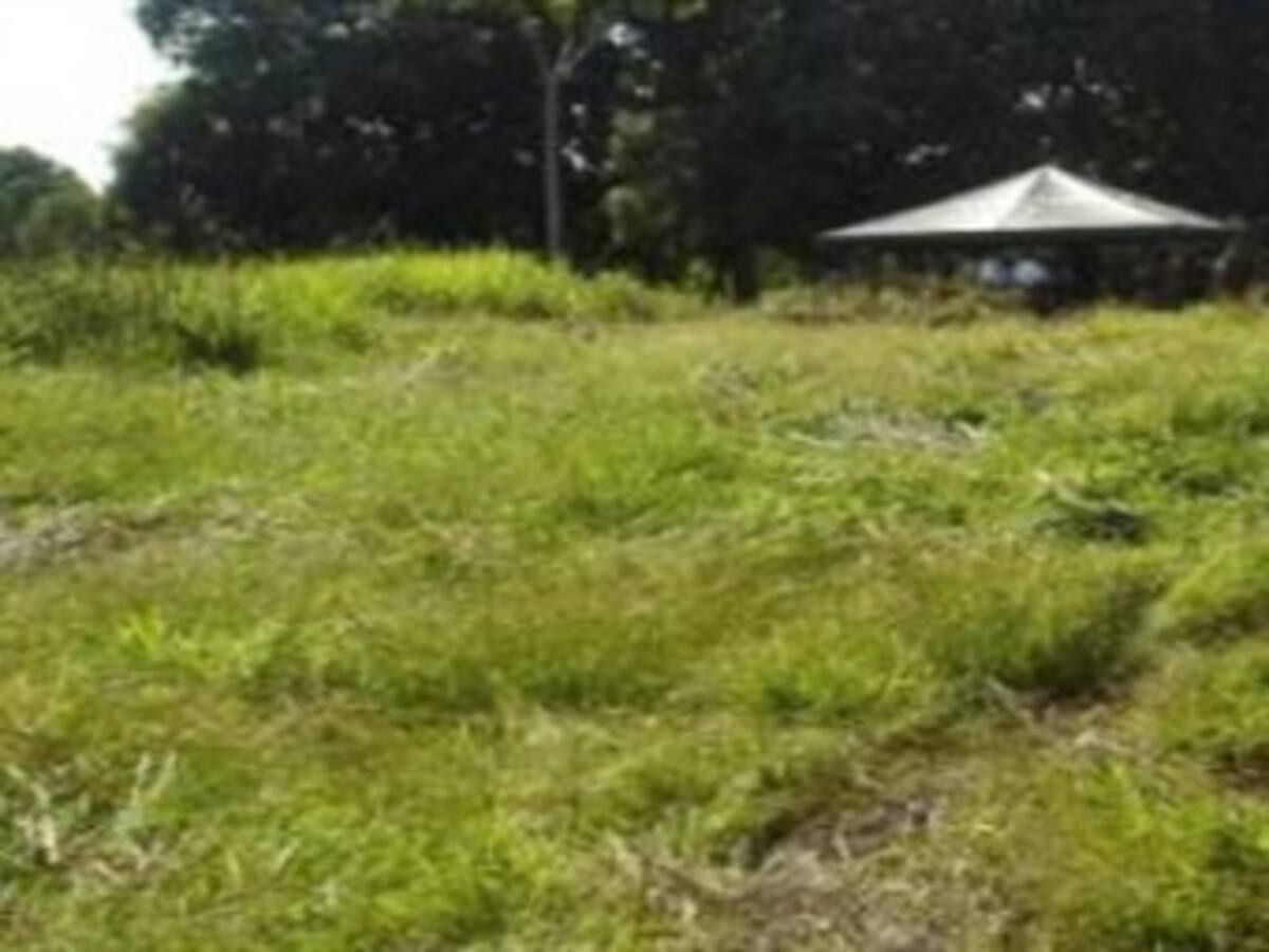 Primer fallo de restitución de tierras en el Valle