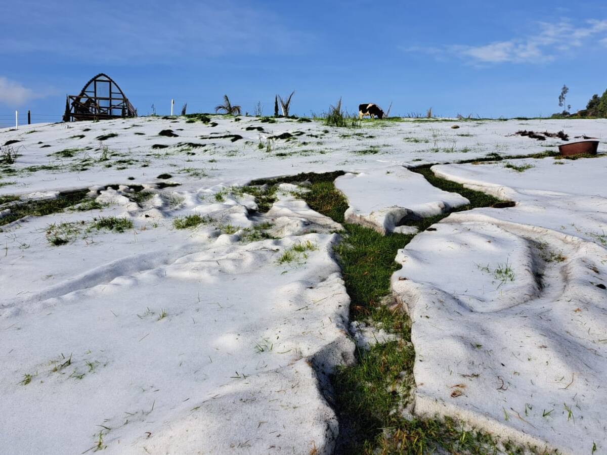 Fuertes lluvias en Gachancipá dejan afectaciones en huertas, galpones y viviendas