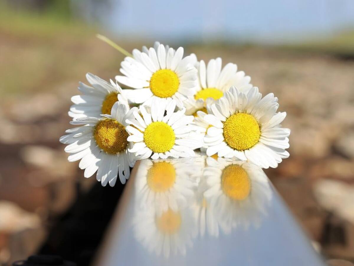 El suicidio es responsabilidad de todos, ¿Cómo prevenirlo?