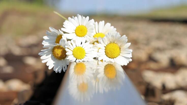 El suicidio como responsabilidad de todos y como prevenirlo.