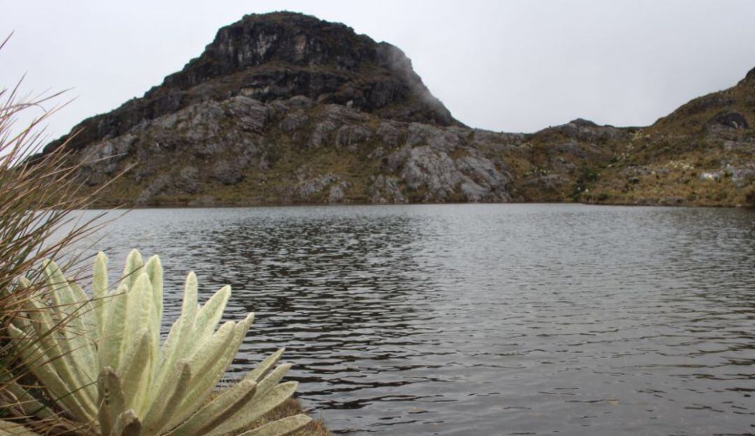 Minesa insistirá en proyecto Soto Norte ante Anla