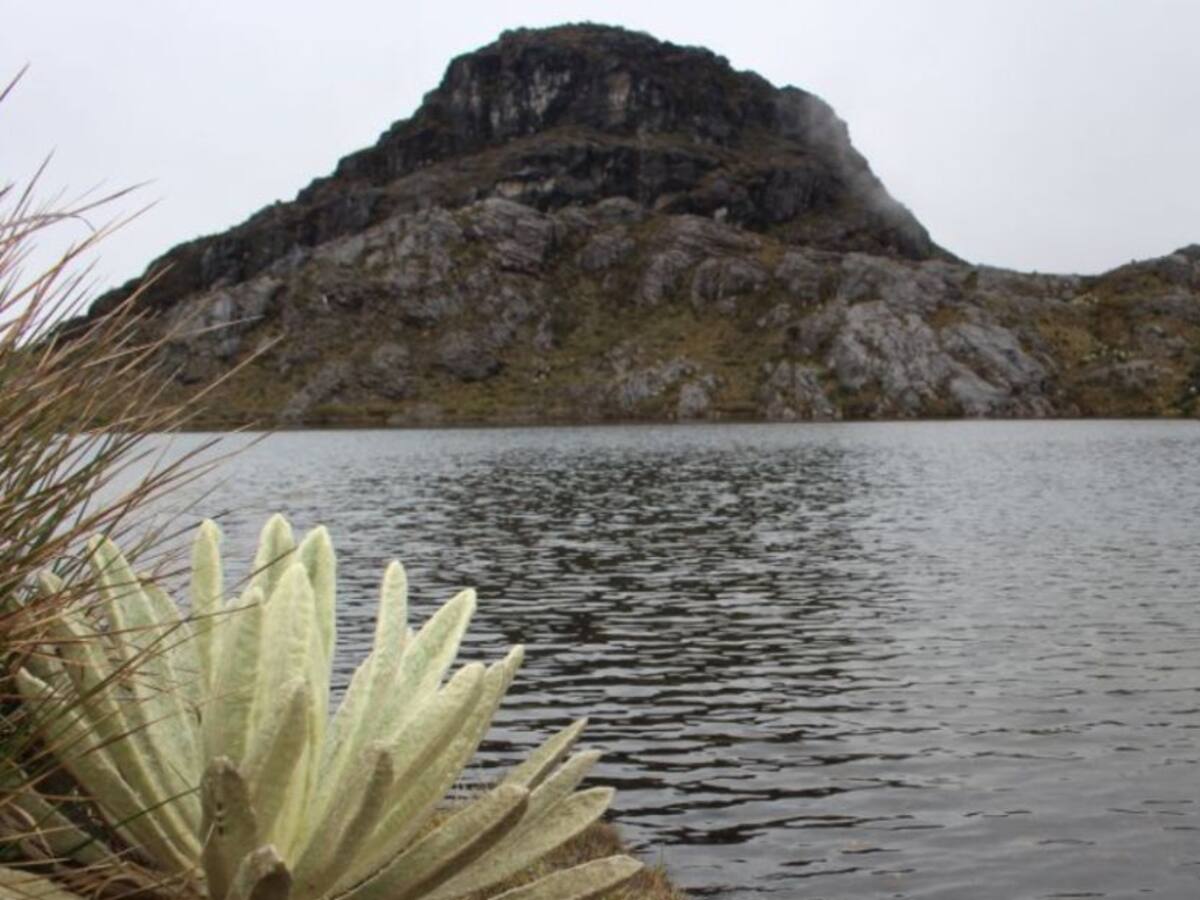 Proyecto Soto Norte, productivo y sostenible con el que se busca apoyar ideas de negocios