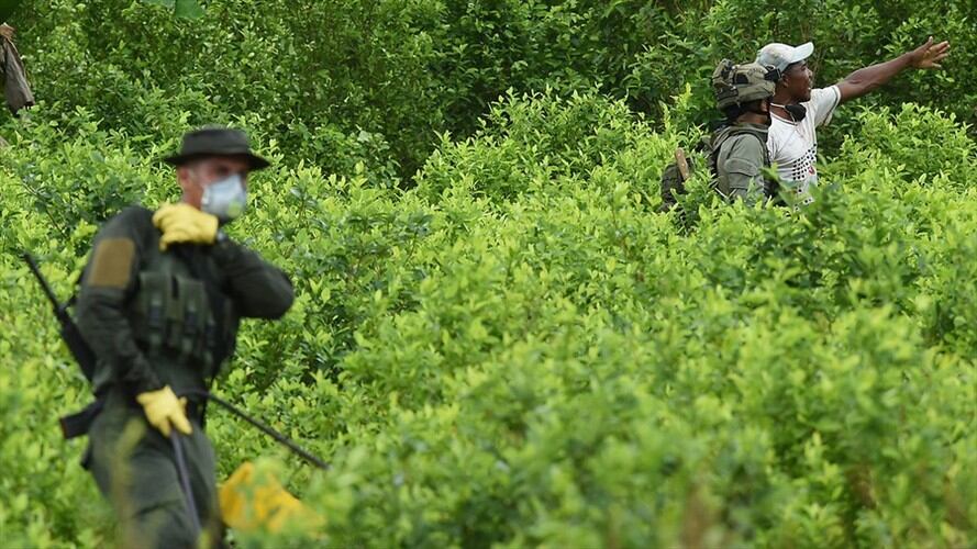 Imagen de referencia. Foto: Colprensa