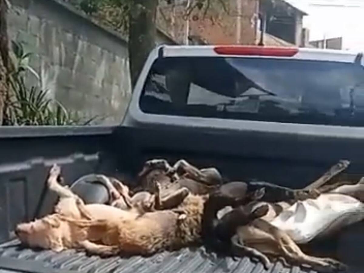 Autoridades de Piedecuesta realizan recorrido donde hubo envenenamiento de perros